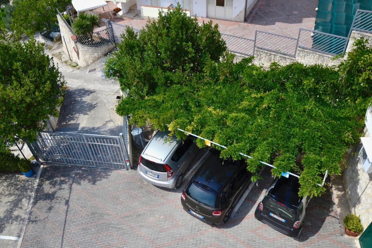 B&B Il Giardino Stellato Vieste Exteriör bild